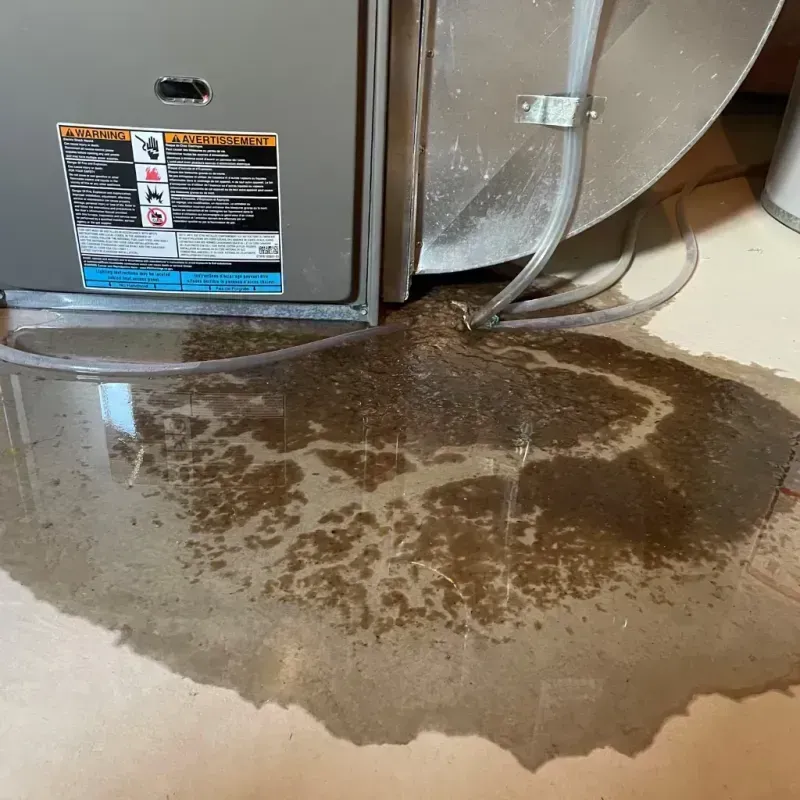 Appliance Leak Cleanup in Brecksville, OH